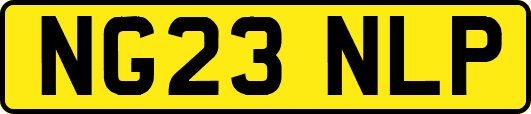 NG23NLP