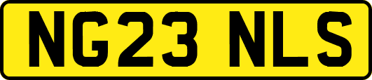 NG23NLS