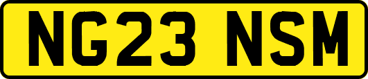 NG23NSM