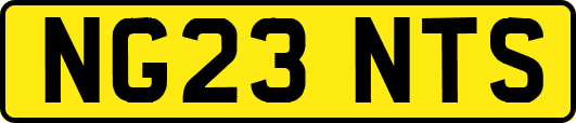 NG23NTS