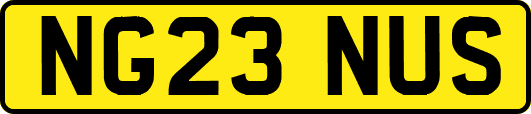 NG23NUS