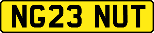 NG23NUT