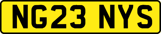 NG23NYS
