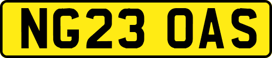 NG23OAS