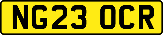 NG23OCR