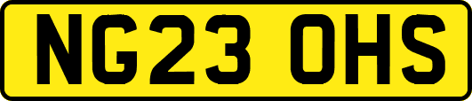 NG23OHS