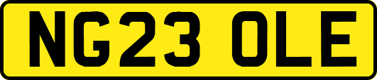 NG23OLE