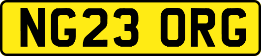 NG23ORG