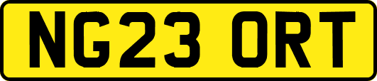 NG23ORT