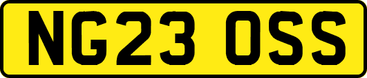 NG23OSS