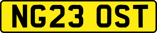 NG23OST