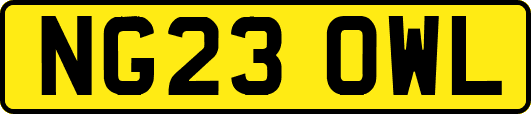 NG23OWL