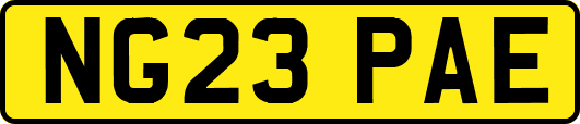 NG23PAE