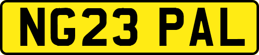 NG23PAL