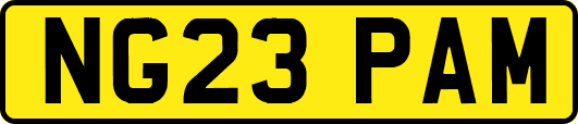NG23PAM