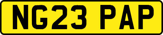 NG23PAP