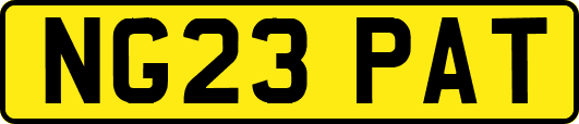 NG23PAT