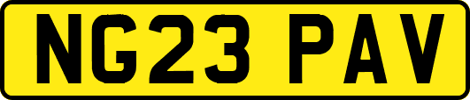 NG23PAV