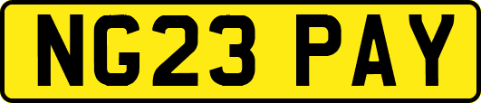 NG23PAY