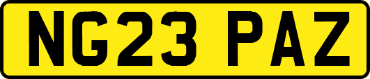 NG23PAZ