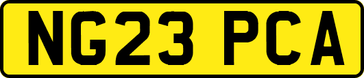 NG23PCA