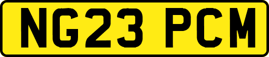 NG23PCM