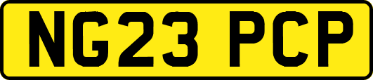 NG23PCP