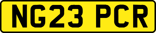 NG23PCR