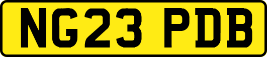 NG23PDB