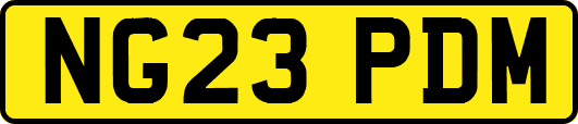NG23PDM