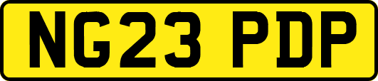NG23PDP