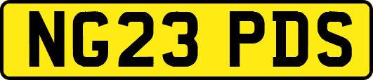 NG23PDS