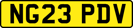NG23PDV