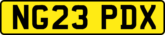 NG23PDX