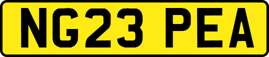 NG23PEA