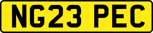 NG23PEC