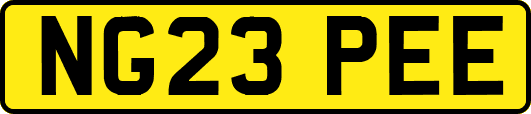 NG23PEE
