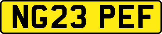 NG23PEF