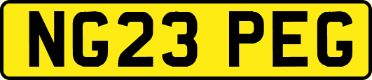 NG23PEG