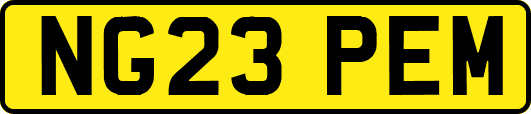 NG23PEM