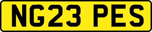NG23PES