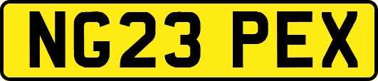 NG23PEX