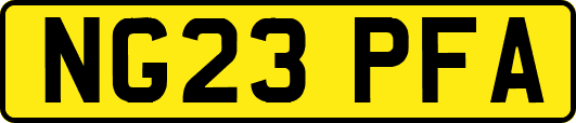 NG23PFA