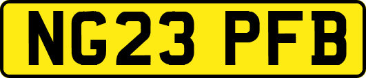 NG23PFB