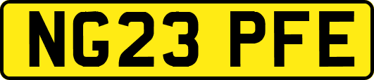NG23PFE