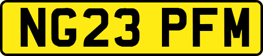 NG23PFM