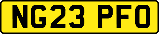 NG23PFO