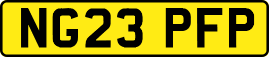 NG23PFP