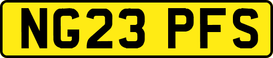 NG23PFS