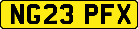 NG23PFX